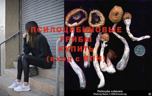 mdpv Абаза