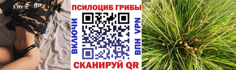 кракен как зайти  Темников  Псилоцибиновые грибы GOLDEN TEACHER 